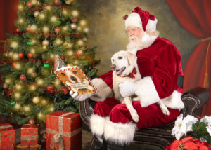 Pet Portrait with Santa