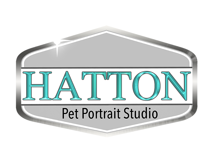 Hatton Pet Portrait Studio Cocoa Beach Florida